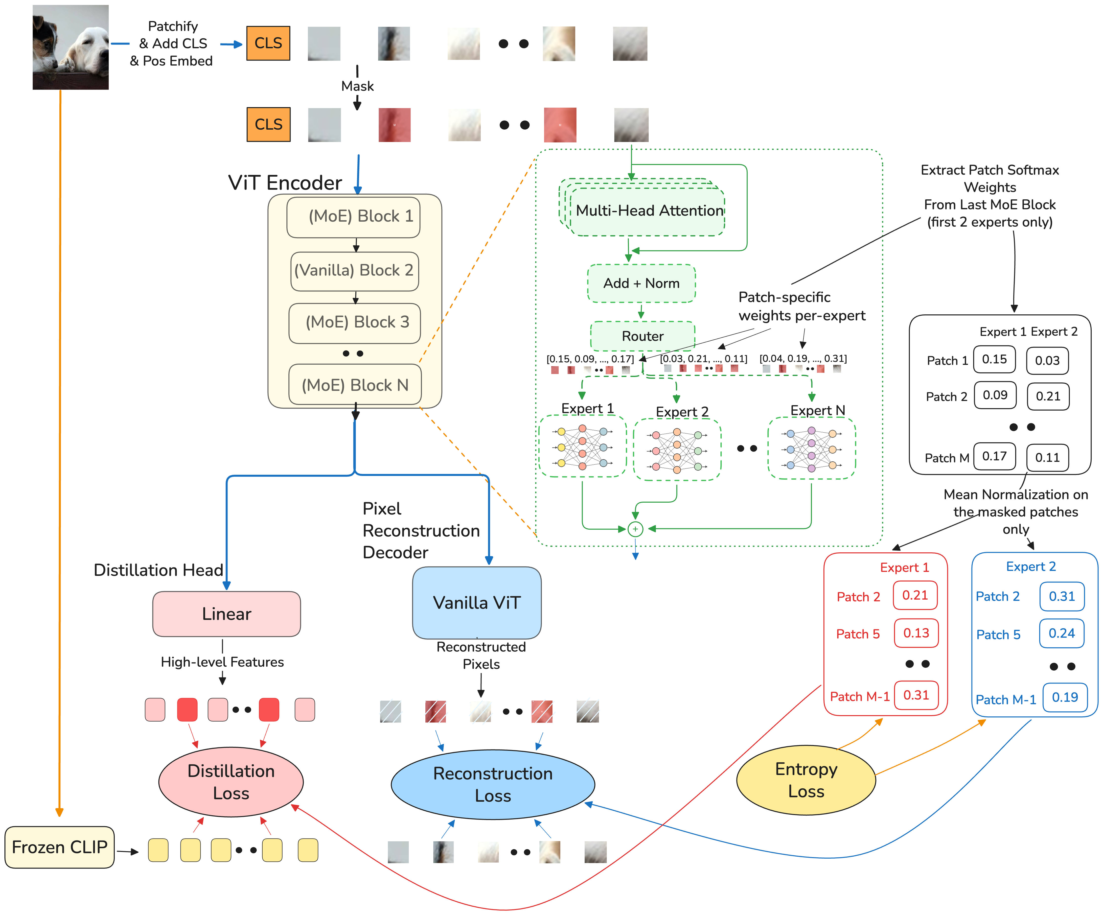 ExPLoRe architecture. The student ViT has six MoE blocks alternating with six vanilla blocks. Each MoE block has a router producing dispatch weights, and the last block's weights are used as per-patch loss coefficients for the training objectives.